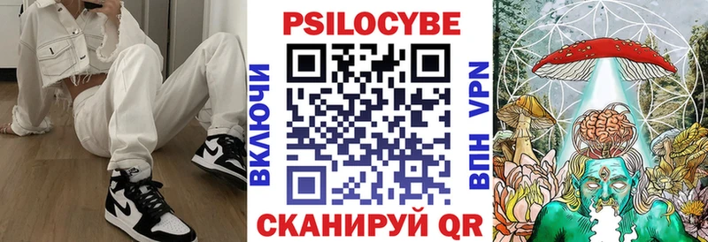 Псилоцибиновые грибы Psilocybe  купить   Волжск 